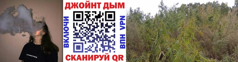 Купить где  Белёв  Конопля Bruce Banner 